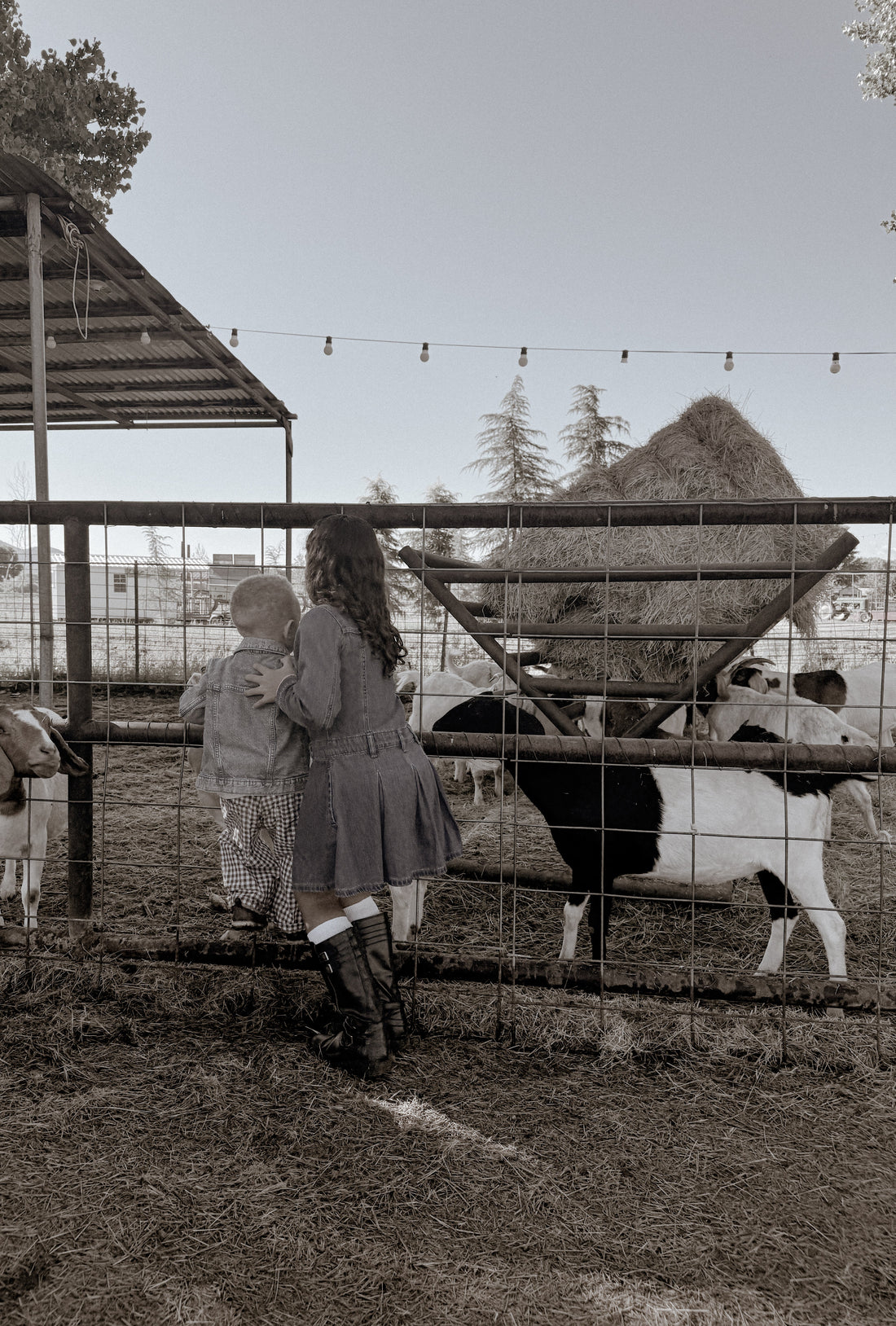 Going Back to Basics | The Quiet Revolution of Simple Childhoods