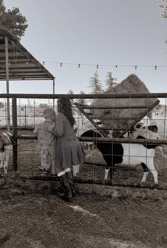 Going Back to Basics | The Quiet Revolution of Simple Childhoods