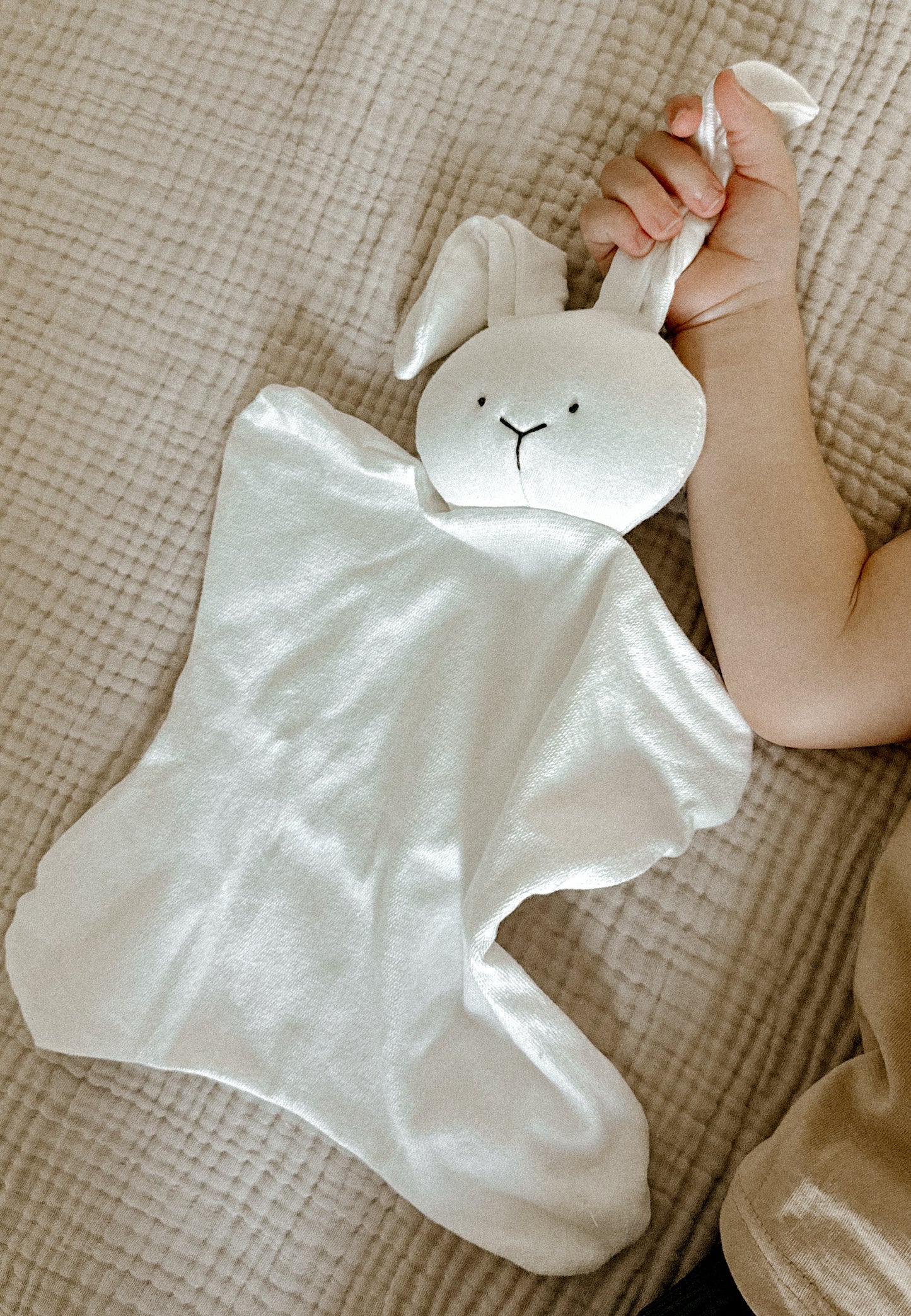 Nellie Rabbit